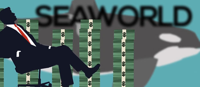 Hello directors of SeaWorld, We are Anonymous
