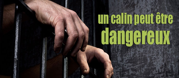 Des éléphants dans un jeu de quille