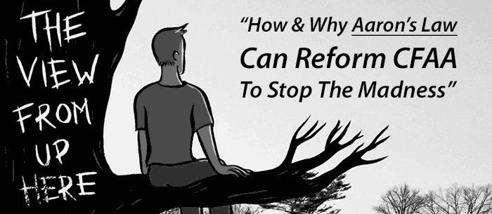 How & Why Aaron's Law Can Reform CFAA