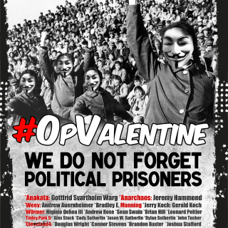 Anonymiss Revolution #opValentine @AnonymousVideo